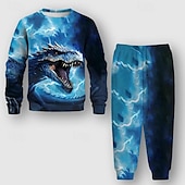 billiga Pojkens 3D Vision &amp; Geometri-Pojkar 3D Drake Sweatshirt &amp; Sweatpants Set Långärmad 3d-utskrivning Vår Höst Aktiv Mode Häftig Polyester Barn 3-12 år Rund hals Utomhus Gata Semester Normal