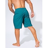 お買い得  男性用水泳パンツ-男性用 ボードショーツ スイムトランク お出かけ 週末 速乾性 ドローストリング 弾性ウエスト ポケット付き 平織り 膝丈 体操服 カジュアル アクティブウェア ワインレッド ブラック