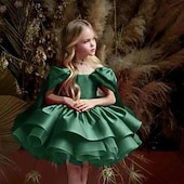 cheap Flower Girl&#039;s Dresses-Kids Girls&#039; Flower Girl Dress Party Dress Solid Color Sleeveless Performance Wedding Party Mesh Princess Sweet Mesh Mid-Calf Sheath Dress Tulle Dress Flower Girl&#039;s Dress Summer Spring Fall 4-13 Years