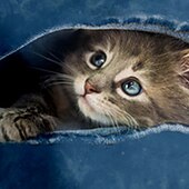 billiga Flickans 3D-djur-Flickor 3D Katt Tröja Pullover Långärmad 3D-tryck Vår Höst Mode Streetwear Förtjusande Barn 3-12 år Rund hals Utomhus Ledigt Dagligen Normal