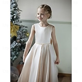 abordables Robes à Fleurs pour Filles-Enfants Fille Robe de demoiselle d&#039;honneur Robe de fête Couleur unie Sans Manches Mariage Anniversaire Soirée Mode Adorable du quotidien Polyester Eté Printemps 2-12 ans Beige
