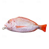 preiswerte Federmäppchen &amp; Halter-Simulation fischförmiges Federmäppchen, wasserdichtes Federmäppchen, Fisch-Geldbörse, neuartiges Federmäppchen, interessantes Federmäppchen, langlebig, Schreibwaren-Tasche, Geschenk, Jungen, Mädchen,