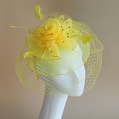 levne Svatební čelenka-Fascinátory Klobouky Doplňky do vlasů Organza Se širší krempou Cylindr Závojový klobouk Dostih koktejl Elegantní Vinobraní S Peří Mašličky Přílba Pokrývky Hlavy