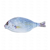 preiswerte Federmäppchen &amp; Halter-Simulation fischförmiges Federmäppchen, wasserdichtes Federmäppchen, Fisch-Geldbörse, neuartiges Federmäppchen, interessantes Federmäppchen, langlebig, Schreibwaren-Tasche, Geschenk, Jungen, Mädchen,