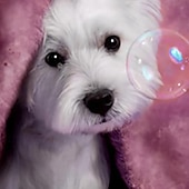 ieftine Animale 3D ale fetei-Tricou 3D pentru fete, model câine, roz, cu mânecă scurtă, imprimare 3D, vară, modă, drăguț, poliester, copii 4-12 ani, guler rotund, exterior, casual, zilnic, croială standard