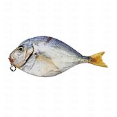 preiswerte Federmäppchen &amp; Halter-Simulation fischförmiges Federmäppchen, wasserdichtes Federmäppchen, Fisch-Geldbörse, neuartiges Federmäppchen, interessantes Federmäppchen, langlebig, Schreibwaren-Tasche, Geschenk, Jungen, Mädchen,