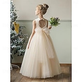 billige Blomsterkjoler-Barn Jente Blomsterjente kjole Festkjole Helfarge Ermeløs Bryllup jubileum Fest Mote Bedårende Daglig Polyester Vår Høst Vinter 2-12 år Hvit Champagne Gul