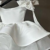 preiswerte Kleider für die Blumenmädchen-Blumenmädchenkleid Mädchen Party Kleid Leistung Hochzeit Party Prinzessin Süß Gitter Feste Farbe Ärmellos Schulterfrei Weiß 2-12 Jahre