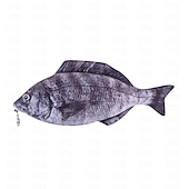 preiswerte Federmäppchen &amp; Halter-Simulation fischförmiges Federmäppchen, wasserdichtes Federmäppchen, Fisch-Geldbörse, neuartiges Federmäppchen, interessantes Federmäppchen, langlebig, Schreibwaren-Tasche, Geschenk, Jungen, Mädchen,