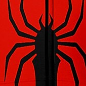 cheap Boy&#039;s 3D Animals-Boys 3D Spider Hoodie Coat Outerwear Long Sleeve Fall Winter Active Streetwear Cool Kids 3-12 Years Zip Street Daily Regular Fit