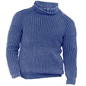 billige genser for menn-Herre Turtleneck genser Genser Pullover genser Herre Turtle Neck Jumper Riflet Strikke Avklipt Strikket Rullekrage Moderne Moderne Dagligdagstøy Ut på byen Klær Høst vinter Svart Hvit M L XL