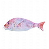 preiswerte Federmäppchen &amp; Halter-Simulation fischförmiges Federmäppchen, wasserdichtes Federmäppchen, Fisch-Geldbörse, neuartiges Federmäppchen, interessantes Federmäppchen, langlebig, Schreibwaren-Tasche, Geschenk, Jungen, Mädchen,