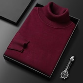 billige genser for menn-Herre Turtleneck genser Pullover genser Julegenser Riflet Strikke Vanlige topper Strikket عادي Rullekrage Hold Varm Moderne Moderne Dagligdagstøy Ut på byen Klær Høst Vinter Kamel Svart S M L