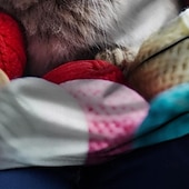 abordables Tenues de Pâques pour Filles-Pâques Fille 3D Lapin Tee-shirts Chemises Manche Courte 3D effet Eté Actif Mode Le style mignon Enfants 3-12 ans Col Ras du Cou Extérieur Casual du quotidien Standard