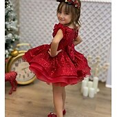 levne Párty šaty-Děti Dívčí Šaty na párty Pevná barva Bez rukávů Výkon Síťka Princeznovské Sladký Síťka Do půli lýtek Plášťové šaty Tylové šaty Léto Jaro Podzim 2-12 let Rubínově červená