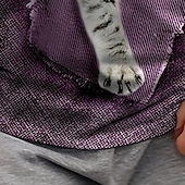 levne 3D zvířata dívky-Dívčí 3D Kočka Košilky Košile Krátký rukáv 3D tisk Léto Aktivní Módní Roztomilý Polyester Děti 3-12 let Tričkový Venkovní Ležérní Denní Běžný