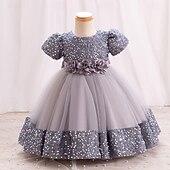 preiswerte Partykleider-Kleinkind Mädchen Partykleid Einfarbig Kurzarm Leistung Party Pailletten Niedlich Prinzessin Polyester Knielang Partykleid Sommer Frühling 3-7 Jahre Mehrfarbig Champagner Rosa