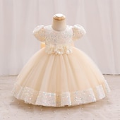 preiswerte Partykleider-Kleinkind Mädchen Partykleid Einfarbig Kurzarm Leistung Party Pailletten Niedlich Prinzessin Polyester Knielang Partykleid Sommer Frühling 3-7 Jahre Mehrfarbig Champagner Rosa
