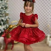 levne Párty šaty-Děti Dívčí Šaty na párty Pevná barva Bez rukávů Výkon Síťka Princeznovské Sladký Síťka Do půli lýtek Plášťové šaty Tylové šaty Léto Jaro Podzim 2-12 let Rubínově červená