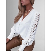 levne Základní dámské topy-Dámské Krajková košile Halenka Očko nahoře Bílá krajková košile Jednobarevné Elegantní Módní Základní Do V Denní Krajka Bílá Jaro Podzim Zima Podzim zima