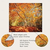 Landscape Nature Hanging Tapestry Forest Under The Sun Wall Art Large Tapestry Mural Decor Photograph Backdrop Blanket Curtain Home Bedroom Living Room Decoration cheap Forest Tapestry-Landscape Nature Hanging Tapestry Forest Under The Sun Wall Art Large Tapestry Mural Decor Photograph Backdrop Blanket Curtain Home Bedroom Living Room Decoration