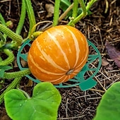 preiswerte Zubehör für die Pflanzenpflege-10er-Pack Pflanzen-Melonenstützen, Käfige, Wiegen, Rankgitter für Wassermelone, Melone, Kürbisse, Erdbeeren – vermeidet Bodenfäule – wiederverwendbar (runde Wassermelonenstütze)