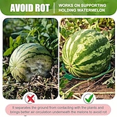preiswerte Zubehör für die Pflanzenpflege-10er-Pack Pflanzen-Melonenstützen, Käfige, Wiegen, Rankgitter für Wassermelone, Melone, Kürbisse, Erdbeeren – vermeidet Bodenfäule – wiederverwendbar (runde Wassermelonenstütze)
