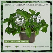 abordables Arrosage et irrigation-Globes d&#039;arrosage automatiques pour plantes de 17 oz, arrosage automatique en plastique, ampoules d&#039;arrosage pour plantes d&#039;intérieur, irrigation goutte à goutte, dispositifs d&#039;arrosage avec contrôle