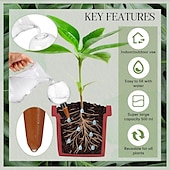 abordables Arrosage et irrigation-Globes d&#039;arrosage automatiques pour plantes de 17 oz, arrosage automatique en plastique, ampoules d&#039;arrosage pour plantes d&#039;intérieur, irrigation goutte à goutte, dispositifs d&#039;arrosage avec contrôle