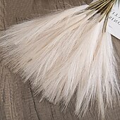 economico Il signor e la signora matrimonio-10 pezzi ins wind muyu reed pampas simulazione fiore decorazione domestica fiore artificiale per matrimonio transfrontaliero