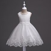 levne Párty šaty-Děti Dívčí Šaty na párty Pevná barva Bez rukávů Formální Výkon Výročí Módní Princeznovské Polyester Květinové dívčí šaty Léto Jaro 2-12 let Bílá Světlá růžová Vodní modrá