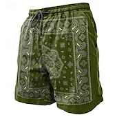 cheap Retro Vintage &amp; Ethic-Men&#039;s Paisley Swim Trunks Swim Shorts Board Shorts Mid Waist Vacation Hawaiian Ethnic Vacation Holiday Beach Drawstring with Mesh lining Elastic Waist Designer Clothing Apparel