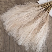 economico Il signor e la signora matrimonio-10 pezzi ins wind muyu reed pampas simulazione fiore decorazione domestica fiore artificiale per matrimonio transfrontaliero