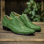 baratos Semi-formal-Homens Oxfords Retro Sapatos formais Bullock Shoes Sapatos de vestir Caminhada Formais Natal Festas &amp; Noite Dia de São Patrício Couro Ecológico Respirável Confortável Resistência ao desgaste Com
