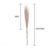 economico Il signor e la signora matrimonio-10 pezzi ins wind muyu reed pampas simulazione fiore decorazione domestica fiore artificiale per matrimonio transfrontaliero