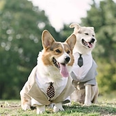ieftine Costumele-Câini Pisici Costum Modă Petrecere Iarnă Respirabil Απαλό Lavabil Comfortabil În aer liber Casul / Zilnic Îmbrăcăminte pentru câini for Bichon Frise Pomeran un Animalut Fluture Small