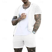 abordables camisa con botones para hombre-Hombre Camisa Conjunto de camisa Camisa de verano Camisa casual Camisa de playa Abotonar la camisa Negro Blanco Azul Real Gris Ligero Azul claro Manga Corta Plano Diseño Vacaciones Hawaiano Malla Ropa