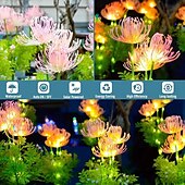 abordables Lumières de paysage-2 pièces lampes de jardin solaires en plein air étanche fleur lumineuse pelouse lumières villa parc rue cour passerelle paysage décoration