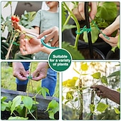 economico Giardinaggio-Fascette per piante regolabili da 100 pezzi, cravatte per piante da giardino, per piantare attrezzi da giardino flessibili