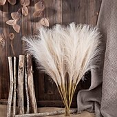 economico Il signor e la signora matrimonio-10 pezzi ins wind muyu reed pampas simulazione fiore decorazione domestica fiore artificiale per matrimonio transfrontaliero