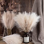 economico Il signor e la signora matrimonio-10 pezzi ins wind muyu reed pampas simulazione fiore decorazione domestica fiore artificiale per matrimonio transfrontaliero