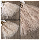 economico Il signor e la signora matrimonio-10 pezzi ins wind muyu reed pampas simulazione fiore decorazione domestica fiore artificiale per matrimonio transfrontaliero