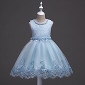 levne Párty šaty-Děti Dívčí Šaty na párty Pevná barva Bez rukávů Formální Výkon Výročí Módní Princeznovské Polyester Květinové dívčí šaty Léto Jaro 2-12 let Bílá Světlá růžová Vodní modrá
