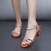 cheap Latin Shoes-Women's Latin Dance Shoes Performance Training Practice Satin Basic Sandal Buckle Thick Heel T-Strap Ankle Strap Silver Dark Brown Black