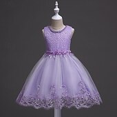 levne Párty šaty-Děti Dívčí Šaty na párty Pevná barva Bez rukávů Formální Výkon Výročí Módní Princeznovské Polyester Květinové dívčí šaty Léto Jaro 2-12 let Bílá Světlá růžová Vodní modrá