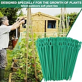 economico Giardinaggio-Fascette per piante regolabili da 100 pezzi, cravatte per piante da giardino, per piantare attrezzi da giardino flessibili