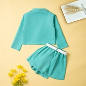 abordables Ensembles pour filles-Fille 3D Couleur unie Chemise &amp; Short manche longue Automne basique Décontractées Bébé 2-9 ans Col en V Extérieur Plein Air