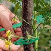 economico Giardinaggio-Fascette per piante regolabili da 100 pezzi, cravatte per piante da giardino, per piantare attrezzi da giardino flessibili