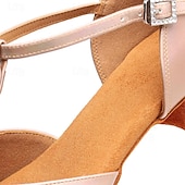 cheap Latin Shoes-Women's Latin Dance Shoes Performance Training Practice Satin Basic Sandal Buckle Thick Heel T-Strap Ankle Strap Silver Dark Brown Black