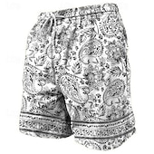 levne Retro Vintage &amp; Etika-Pánské Kašmírový vzor Plavecké trenýrky Plavky pánské Surfovací šortky Středně vysoký pas prázdniny Havajské Dovolená Dovolená Plážové Šňůrky s podšívkou ze síťoviny Elastický pas Návrhář Oblečení